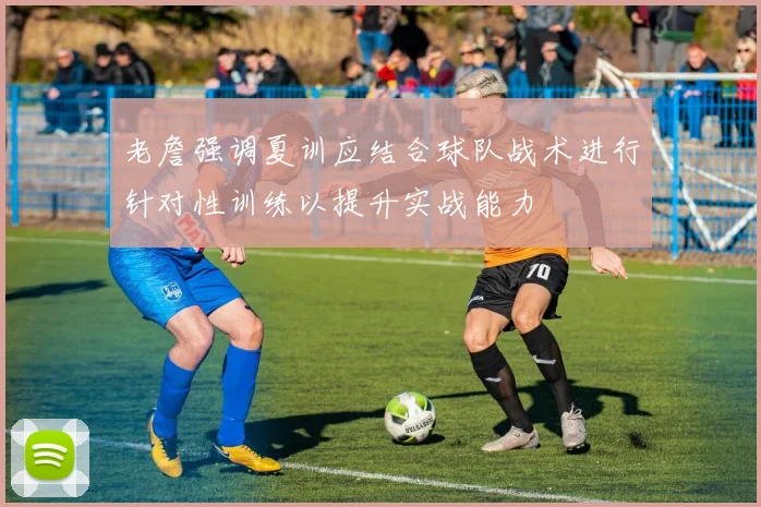 老詹强调夏训应结合球队战术进行针对性训练以提升实战能力
